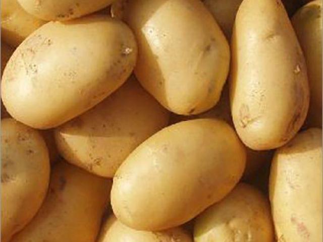 Fresh Potato Manufacturer in Telangana
