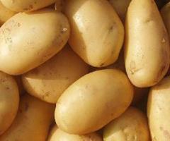 Fresh Potato Manufacturer in Telangana