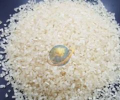 Broken Rice Exporter in Hyderabad