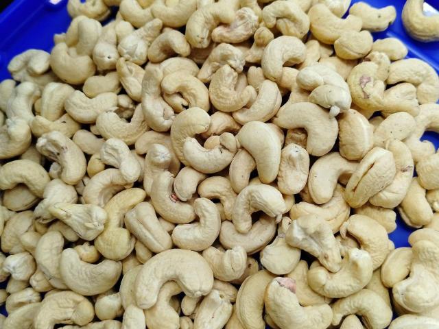 Mandvi Choryasi cashew nuts supplier in Surat Gujarat 7550251115