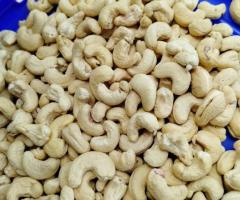 Mandvi Choryasi cashew nuts supplier in Surat Gujarat 7550251115