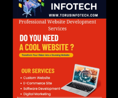 Torus Infotech : Best Website Designing company in Delhi