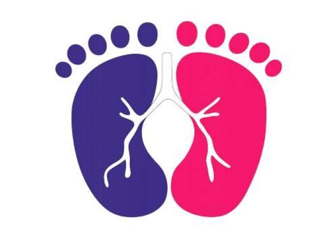 Dr. Manisha Singhal - Gynecologist & Pregnancy Specialist Indore
