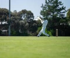Top Cricket Turf Manufacturer in India | OSMS Turf