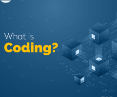Best Digital Marketing Institute In Noida | The Skills Valley