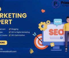 Search Engine Optimization in Delhi