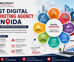 Best Digital Marketing Agency in Noida | Beetroot Digital