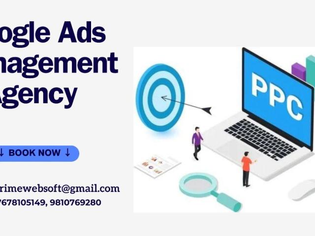 ROI Optimization for Google Ads in Delhi