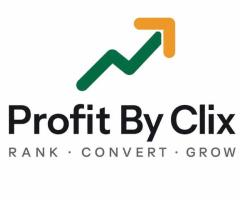 Profit By Clix – Best Digital Marketing & SEO Agency in Delhi
