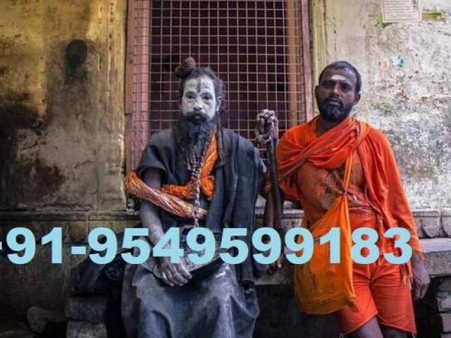 .Vashikaran Specialties Astrologer In India 09549599183