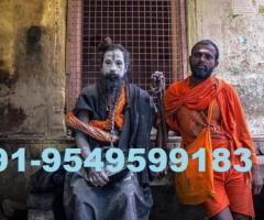 India no.1 most powerful specialist Astrologer Aghori Baba ji +91-9549599183 @@@