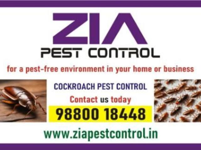 Cockroach Treatment | Professional and Effective service | Call Us Today | 690