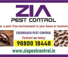 Cockroach Treatment | Professional and Effective service | Call Us Today | 690