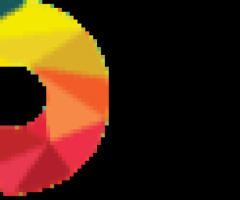 Hire a Custom WordPress Developer in Delhi