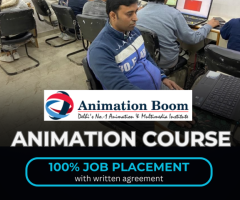 Animation Institute In Delhi, ANIMATION BOOM