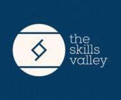 Best Digital Marketing Institute In Noida | The Skills Valley