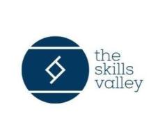 Best Digital Marketing Institute In Noida | The Skills Valley