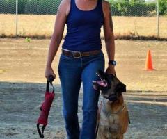 Dog Training Classes Fort Walton Beach
