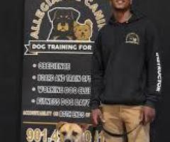 Dog Training In Germantown TN