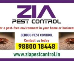 Top Bed Bug Pest Control in bangalore | Zia pest control | 6017