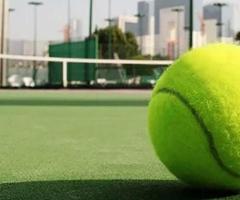 Affordable Cricket Turf Manufacturer – Quality You Can Trust