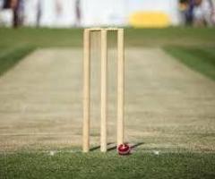 Top-Quality Cricket Turf Manufacturer – Order Online Today