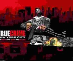 TRUE CRIME New York Laptop Desktop Computer Game