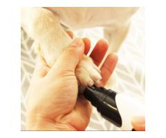 Rechargeable Dog Nail Grinder !