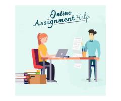 Looking for Online Assignment Writing Services in India?