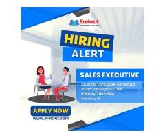 Urgent Hiring For Sales Executive. (Inside Sales) For A Edtech Company