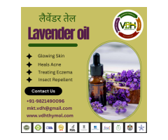 Lavender Oil - Pure Essence for Your Needs