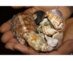 REAL AFRICAN TRADITIONAL HEALER +27736847115 LUXEMBOURG, GREECE, UK