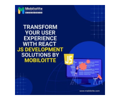 Transform Your User Experience with React JS Development Solutions by Mobiloitte