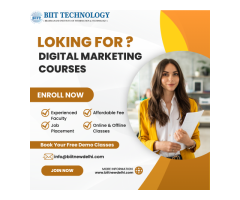 Get Advance Digital Marketing Institute in Laxmi Nagar with Placement