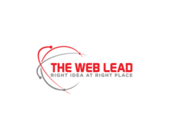 The Web Lead - Best SEO agency  in India