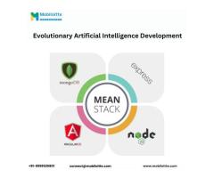 Mean Stack Development Services  by Mobiloitte