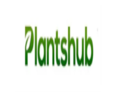 Plants Online Delivery in India