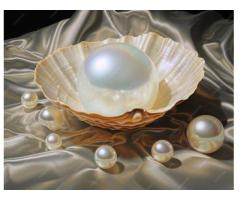 rishabhjains.com | buy pearl gemstone online in gujarat