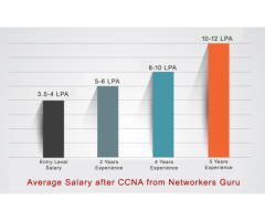 CCNA Certification course training in India