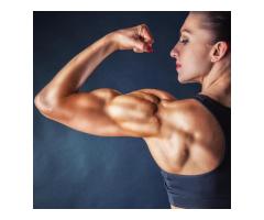 Legal Steroids for Women 2024: