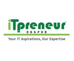 ITpreneur